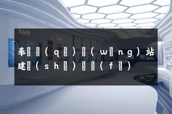 奉賢區(qū)網(wǎng)站建設(shè)開發(fā)