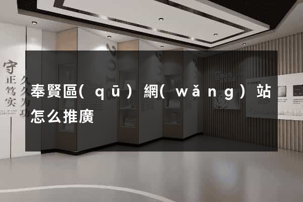 奉賢區(qū)網(wǎng)站怎么推廣