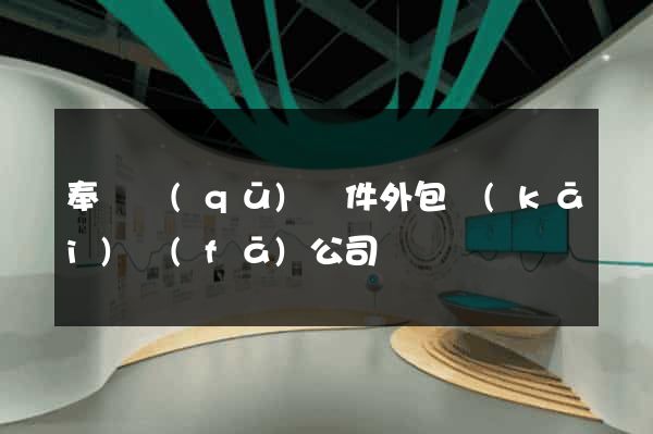 奉賢區(qū)軟件外包開(kāi)發(fā)公司