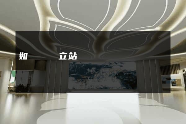 如東縣獨立站運營