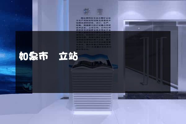 如皋市獨立站運營