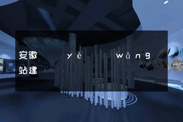 安徽專業(yè)網(wǎng)站建設