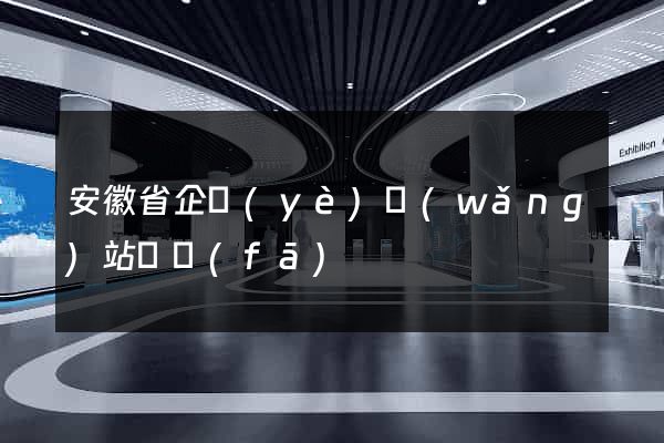 安徽省企業(yè)網(wǎng)站開發(fā)