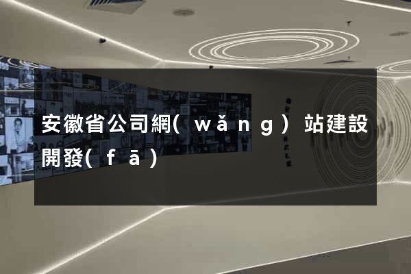 安徽省公司網(wǎng)站建設開發(fā)