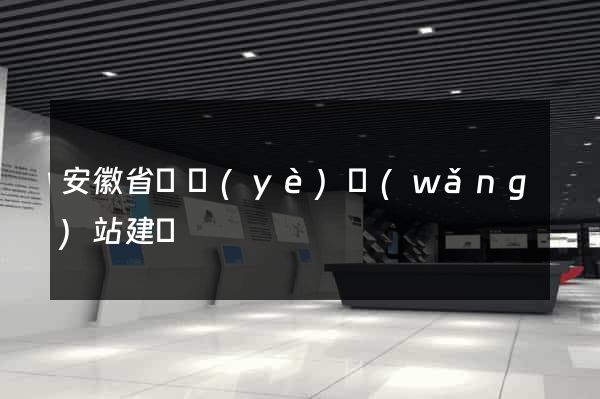 安徽省專業(yè)網(wǎng)站建設