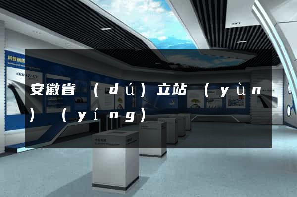 安徽省獨(dú)立站運(yùn)營(yíng)