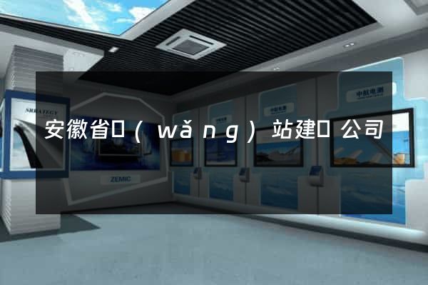安徽省網(wǎng)站建設公司