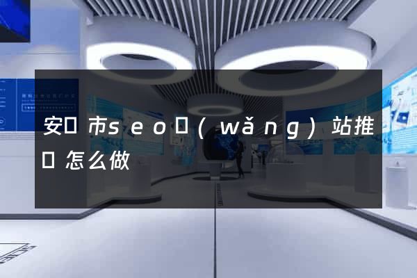 安慶市seo網(wǎng)站推廣怎么做