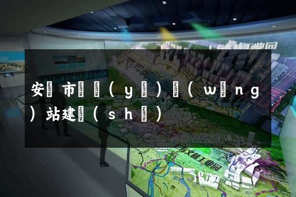 安慶市專業(yè)網(wǎng)站建設(shè)