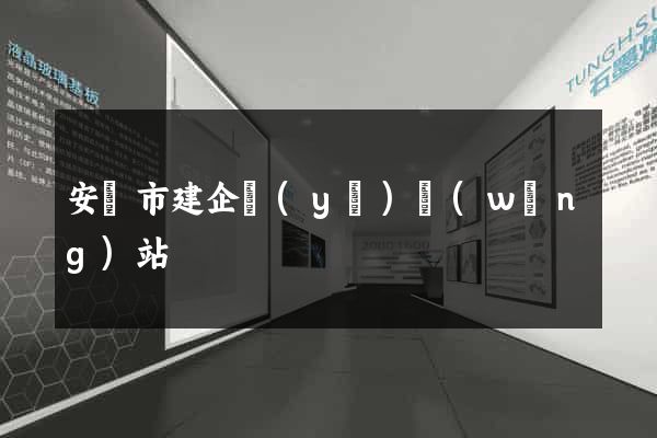 安慶市建企業(yè)網(wǎng)站