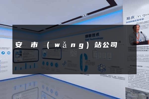 安慶市網(wǎng)站公司