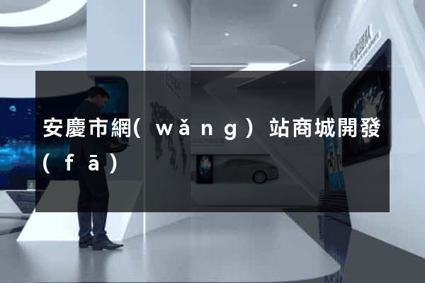 安慶市網(wǎng)站商城開發(fā)