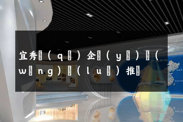 宜秀區(qū)企業(yè)網(wǎng)絡(luò)推廣