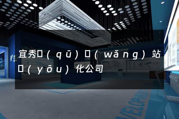宜秀區(qū)網(wǎng)站優(yōu)化公司