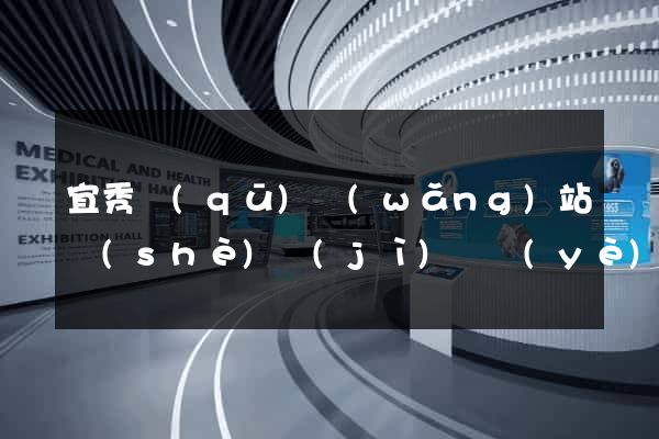 宜秀區(qū)網(wǎng)站設(shè)計(jì)專業(yè)的公司