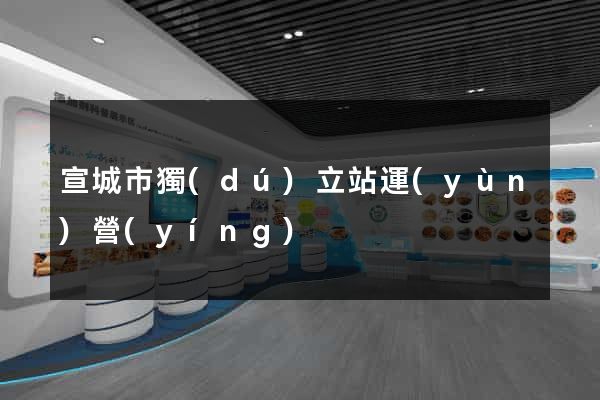 宣城市獨(dú)立站運(yùn)營(yíng)