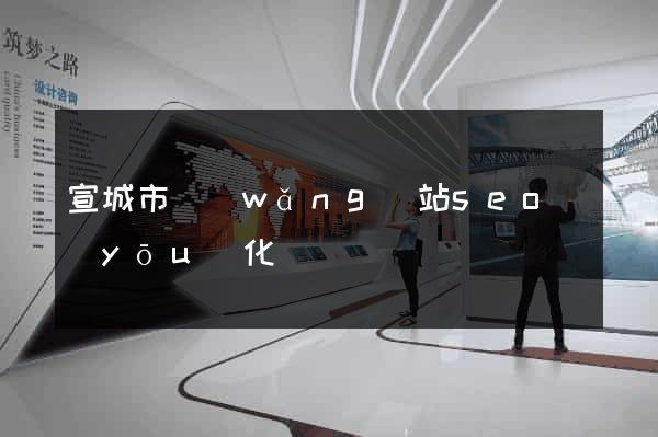 宣城市網(wǎng)站seo優(yōu)化