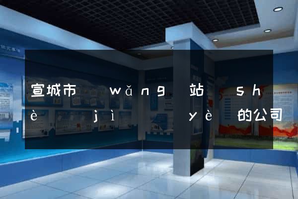 宣城市網(wǎng)站設(shè)計(jì)專業(yè)的公司