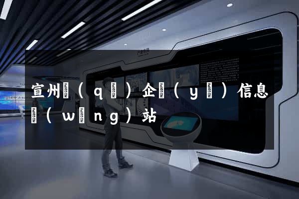 宣州區(qū)企業(yè)信息網(wǎng)站