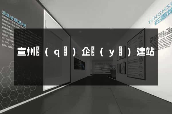 宣州區(qū)企業(yè)建站
