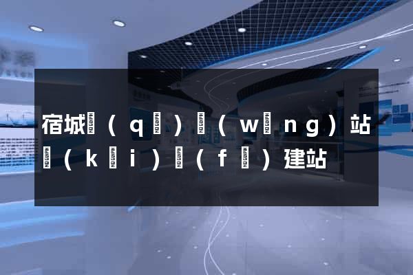 宿城區(qū)網(wǎng)站開(kāi)發(fā)建站