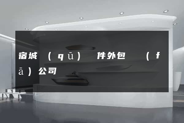 宿城區(qū)軟件外包開發(fā)公司