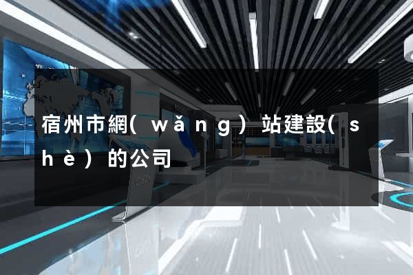 宿州市網(wǎng)站建設(shè)的公司