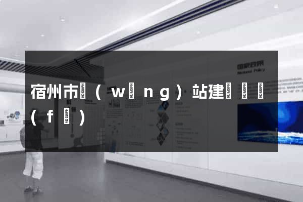 宿州市網(wǎng)站建設開發(fā)