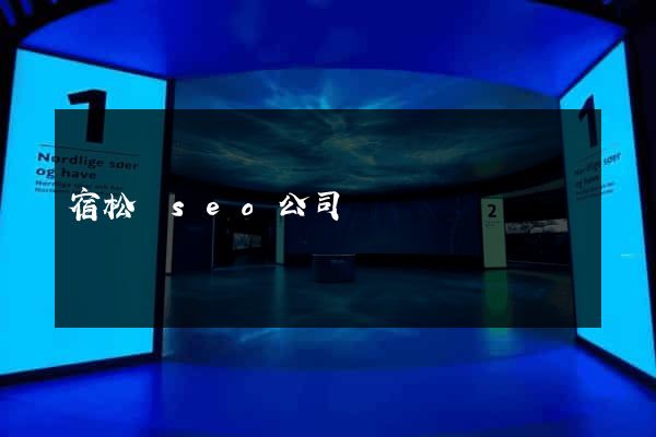 宿松縣seo公司