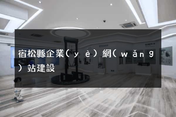 宿松縣企業(yè)網(wǎng)站建設