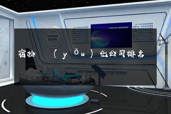 宿松縣優(yōu)化公司排名