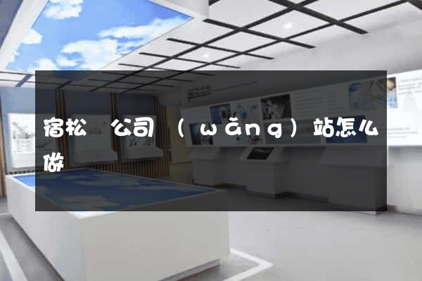 宿松縣公司網(wǎng)站怎么做