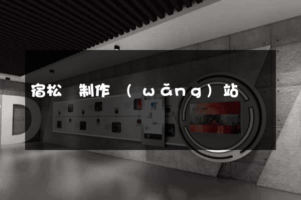 宿松縣制作網(wǎng)站