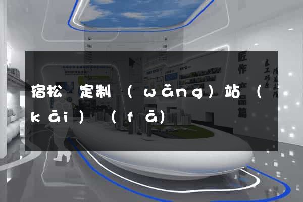 宿松縣定制網(wǎng)站開(kāi)發(fā)