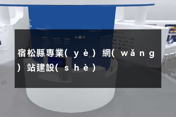 宿松縣專業(yè)網(wǎng)站建設(shè)