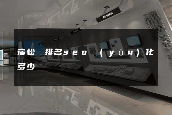 宿松縣排名seo優(yōu)化多少錢