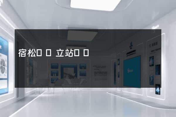 宿松縣獨立站運營