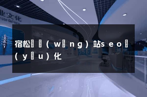宿松縣網(wǎng)站seo優(yōu)化