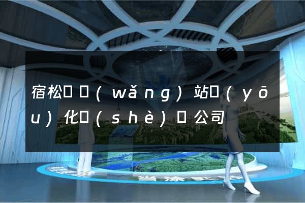 宿松縣網(wǎng)站優(yōu)化設(shè)計公司