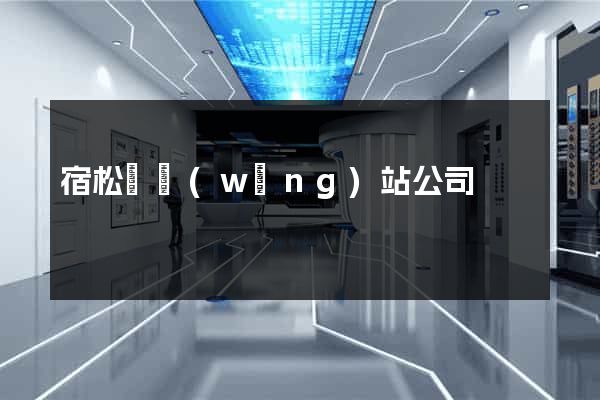 宿松縣網(wǎng)站公司