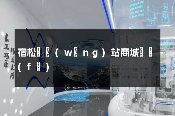 宿松縣網(wǎng)站商城開發(fā)