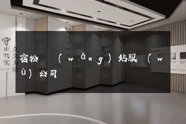 宿松縣網(wǎng)站服務(wù)公司