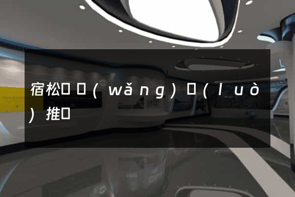 宿松縣網(wǎng)絡(luò)推廣