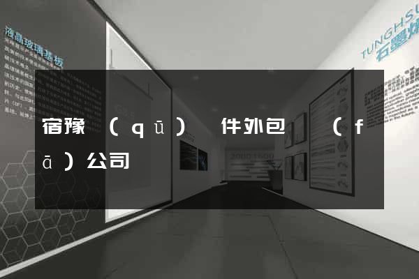 宿豫區(qū)軟件外包開發(fā)公司