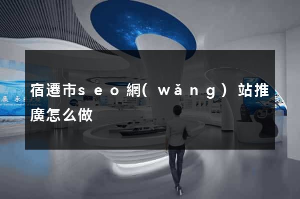 宿遷市seo網(wǎng)站推廣怎么做