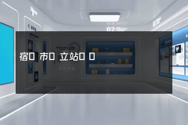 宿遷市獨立站運營