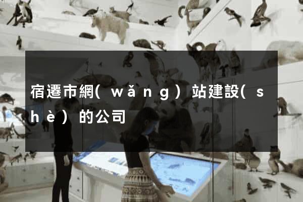 宿遷市網(wǎng)站建設(shè)的公司