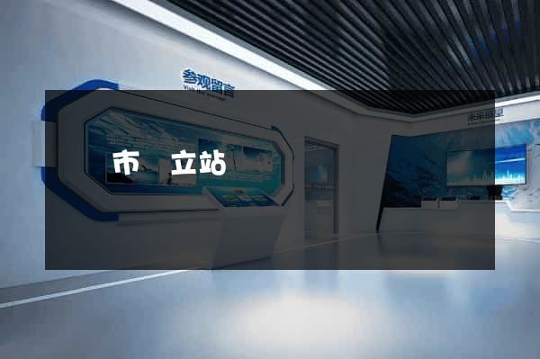 寧國市獨立站運營
