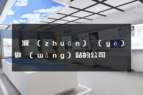 寧波專(zhuān)業(yè)做網(wǎng)站的公司