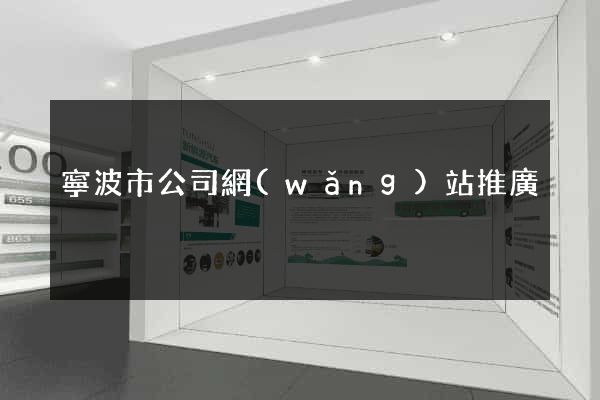 寧波市公司網(wǎng)站推廣